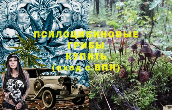 бошки Алексин