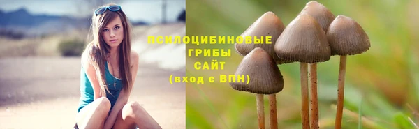 бошки Алексин