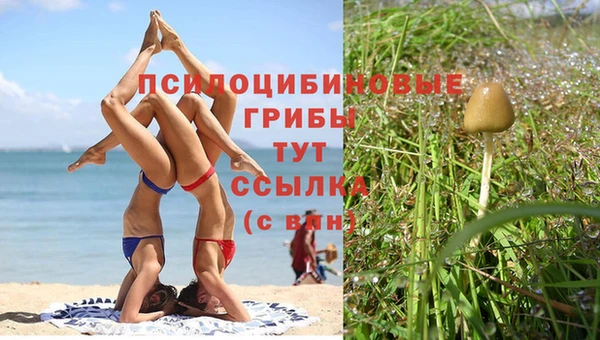 амф Алексеевка