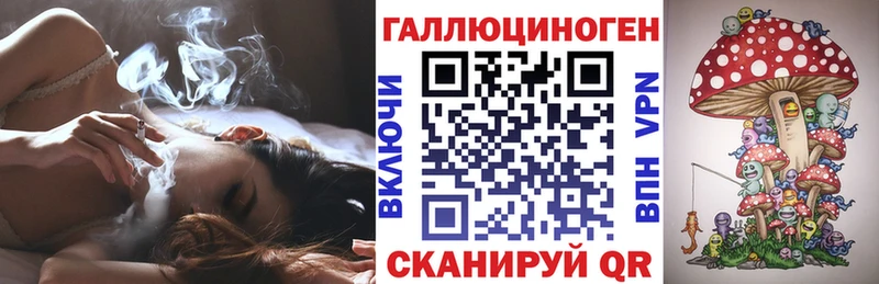 нарко площадка как зайти Чехов Галлюциногенные грибы Cubensis что такое наркотик